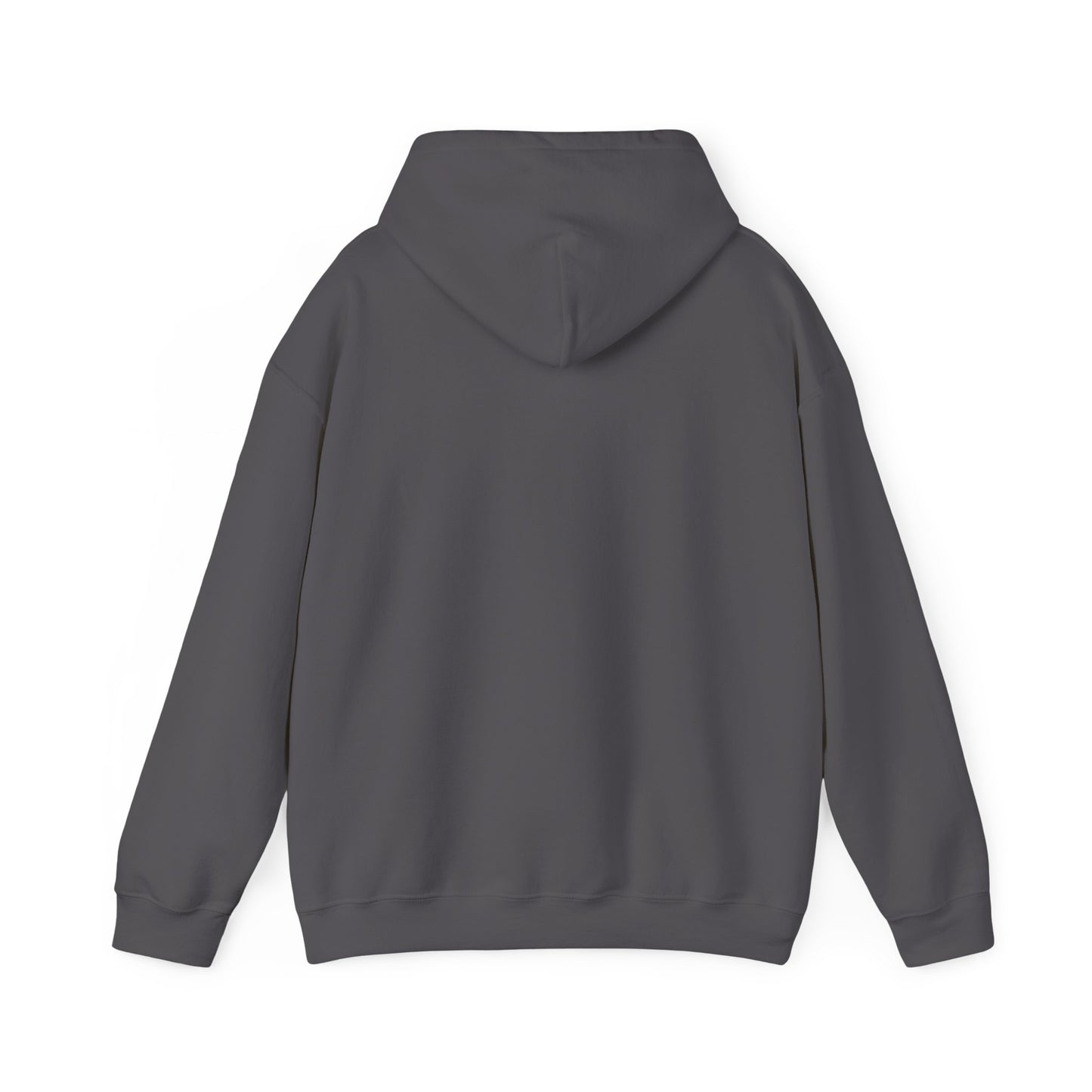 Mountain Pole Vault is Life Guy - Hoodie