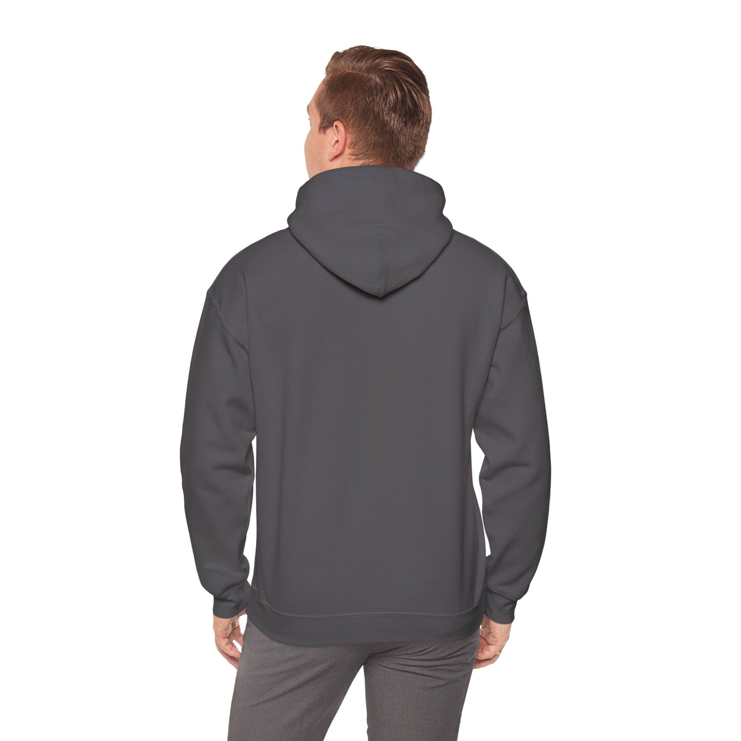 Beach Pole Vault is Life Guy - Hoodie