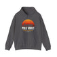 Pole Vault Defying Gravity - Hoodie